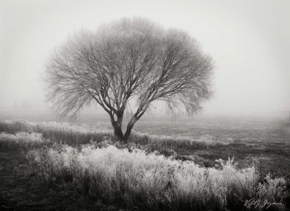 Tranquility I BandW