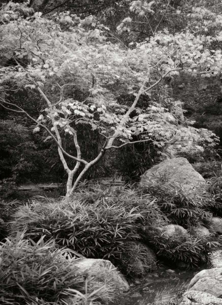 Japanese Park I BandW