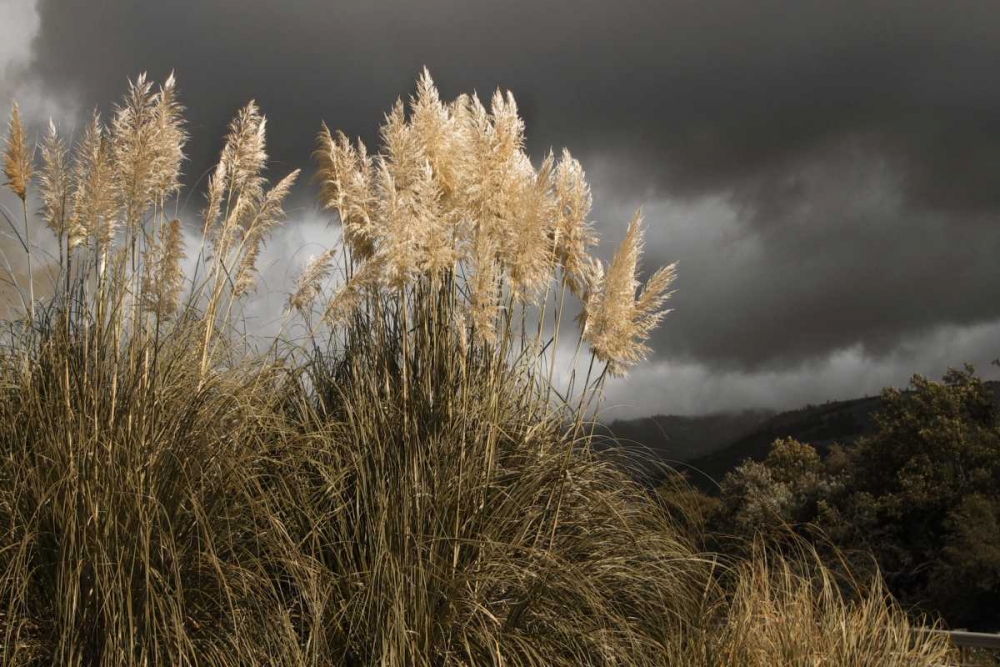 White Towers in the Storm I