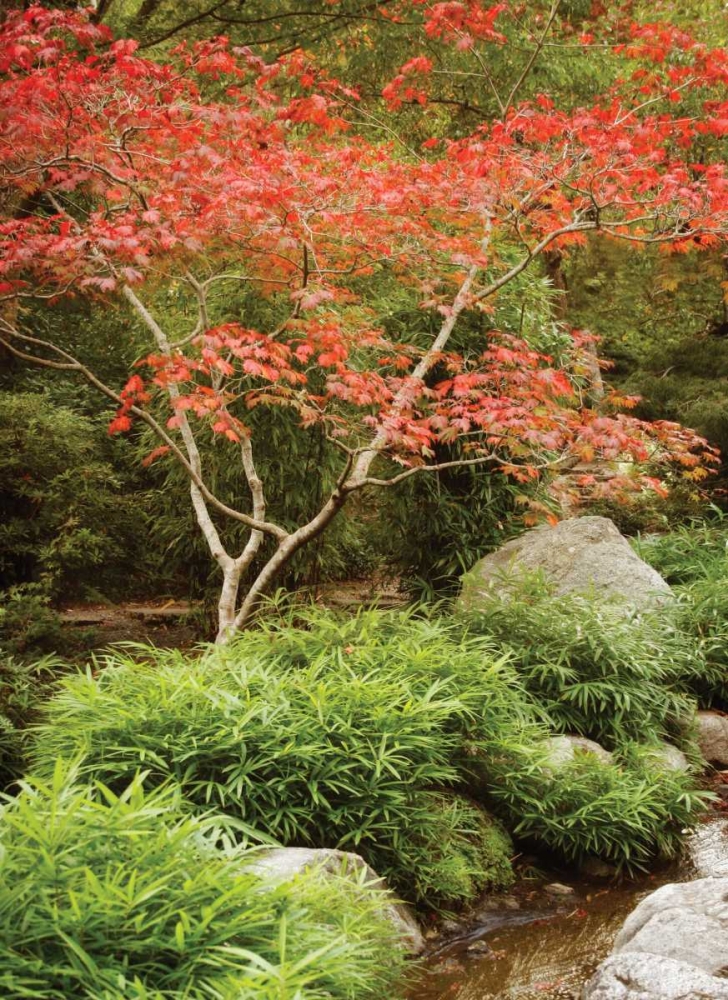 Japanese Park I