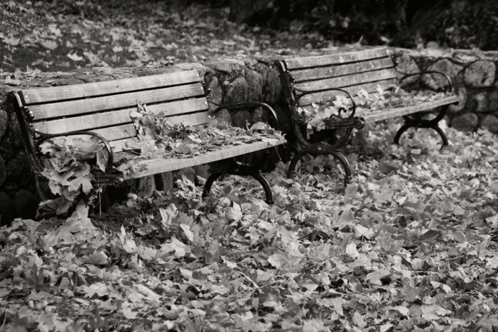 Autumn Paradise I BandW