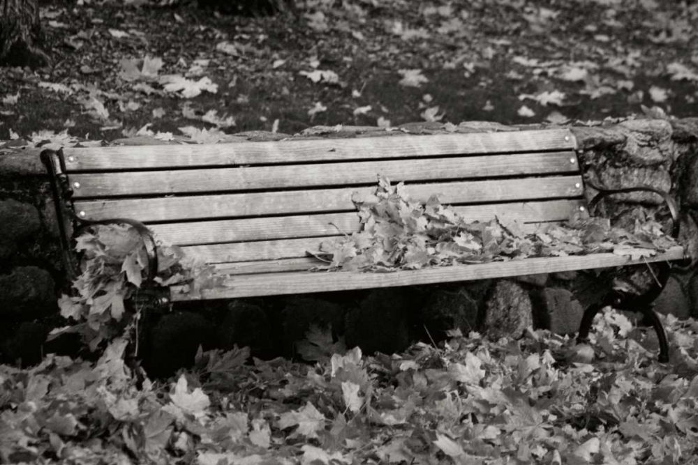Autumn Paradise II BandW