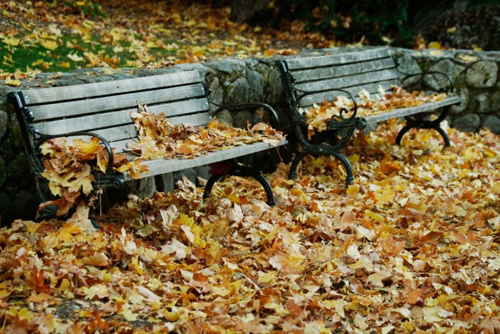 Autumn Paradise I