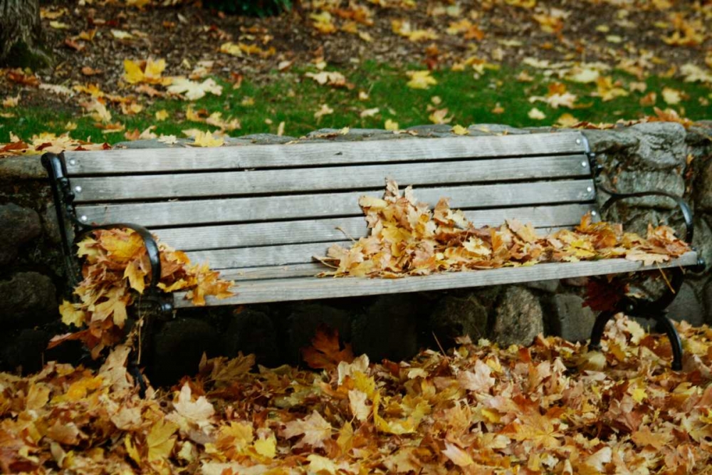 Autumn Paradise II