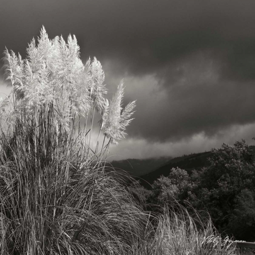 White Towers III BW