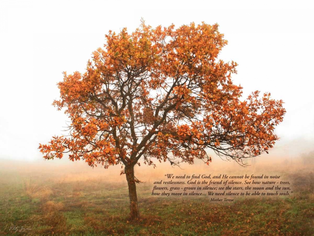 Silent Oak