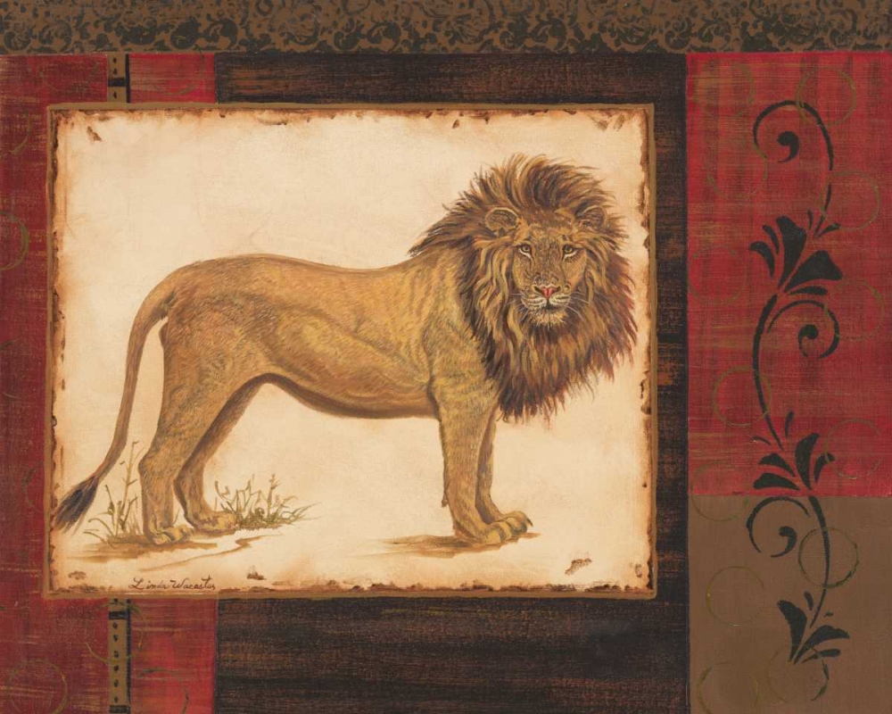 Savanna Lion