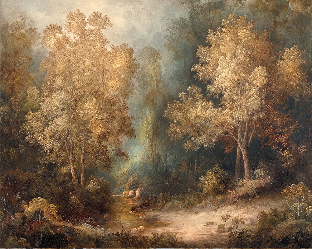 Autumn Forest