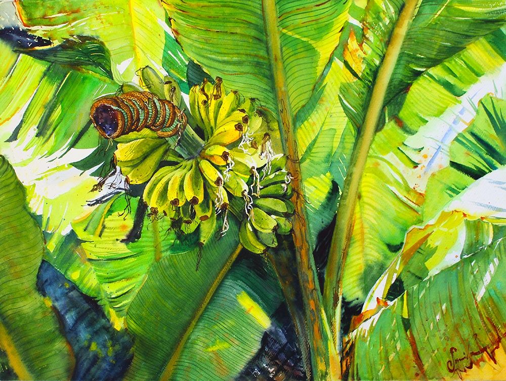 Bananas