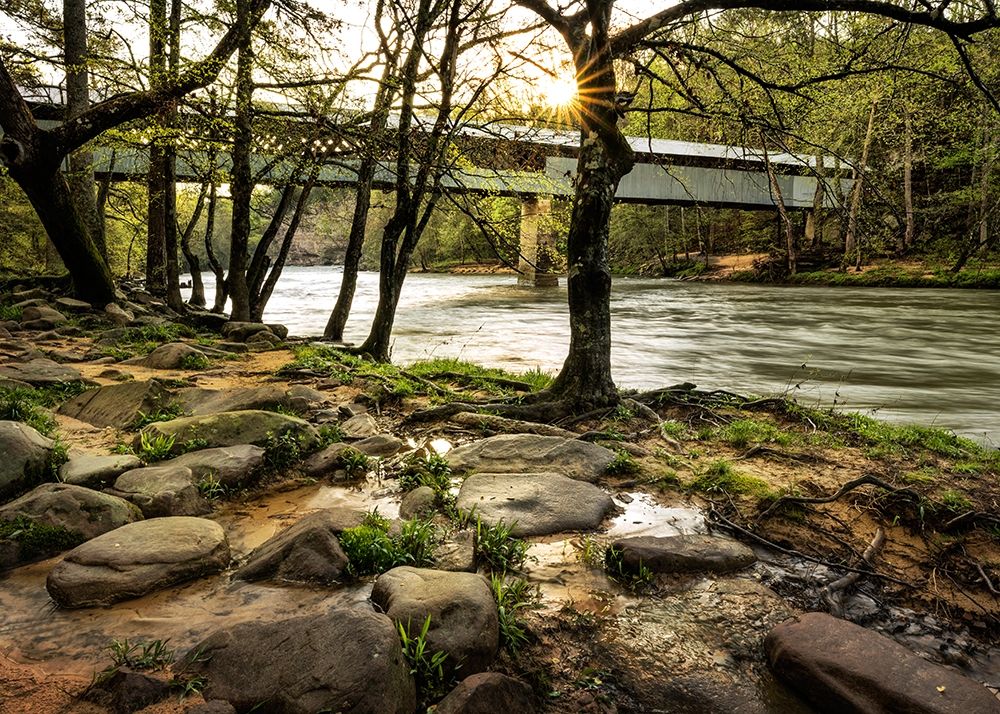 Swann Bridge II