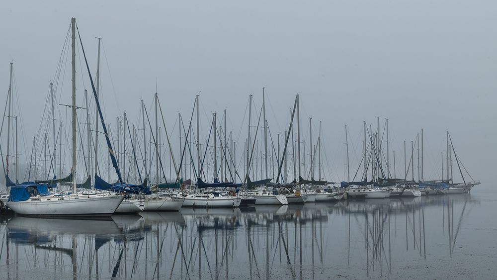 Foggy Marina II