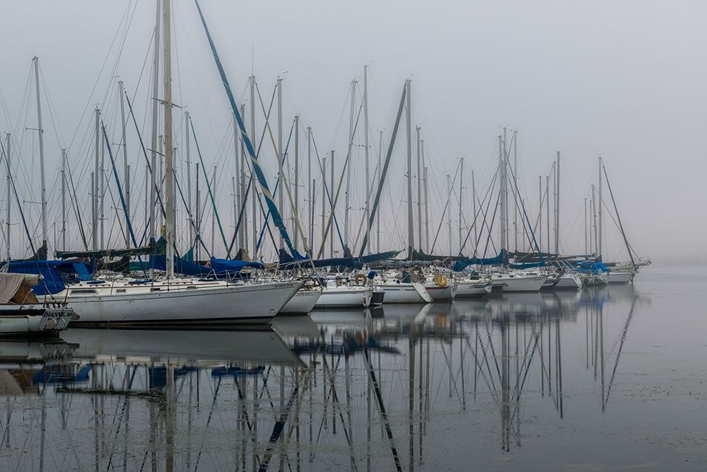 Foggy Marina II