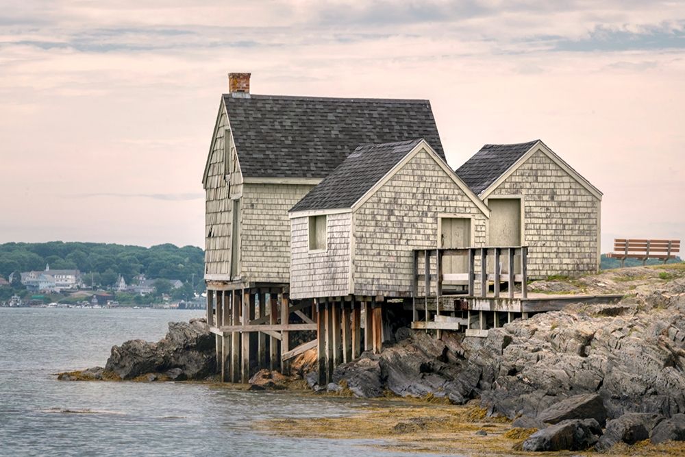 Vintage Maine