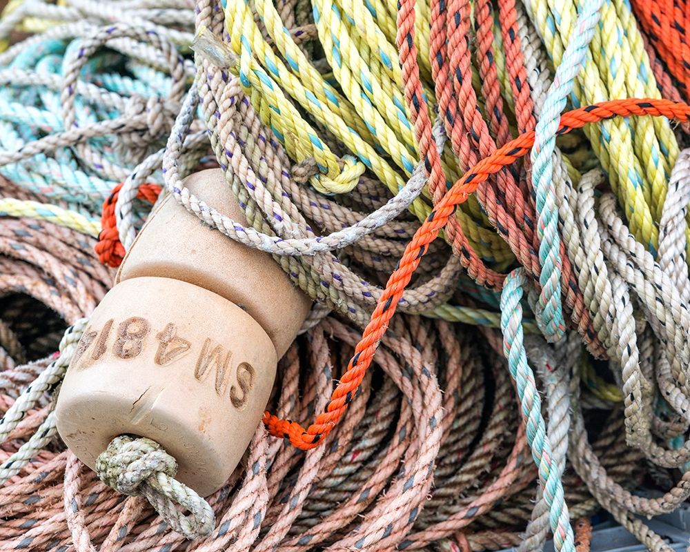 Knowing the Ropes I