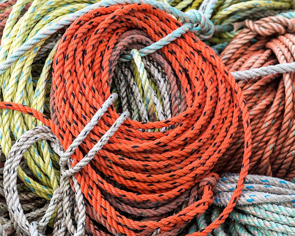 Knowing the Ropes II