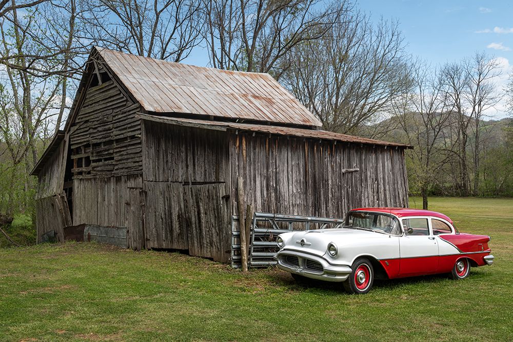 Red and White