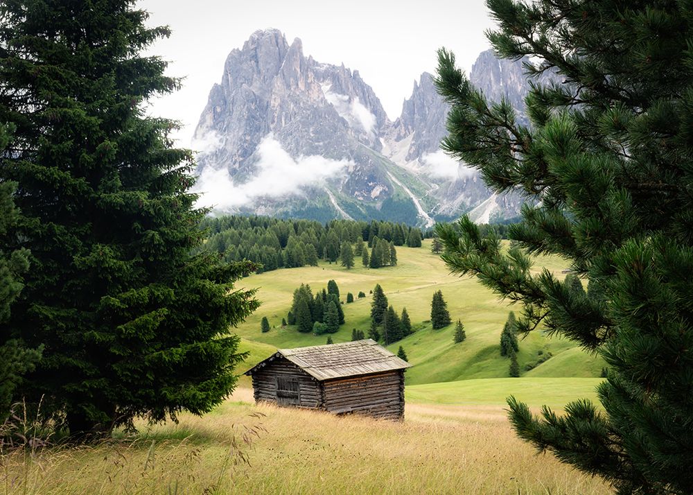 Alpine Meadow III