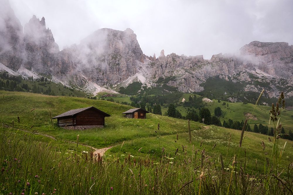 Shelter I