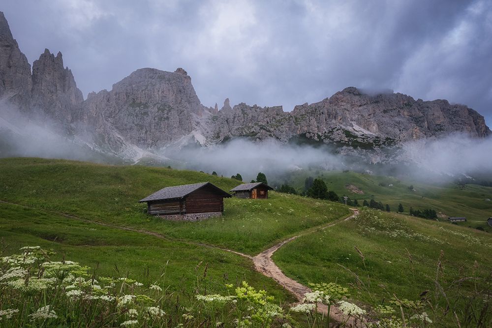 Shelter II