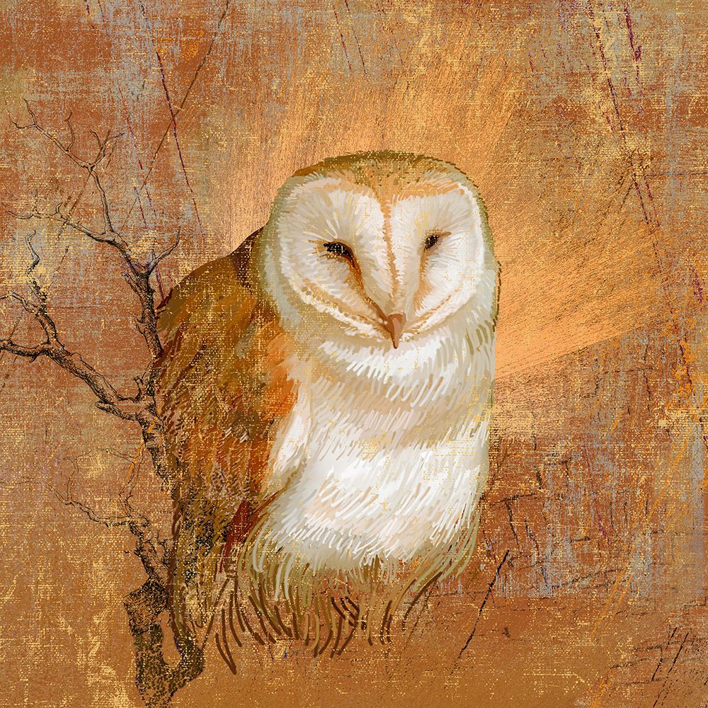 Owl in the wood