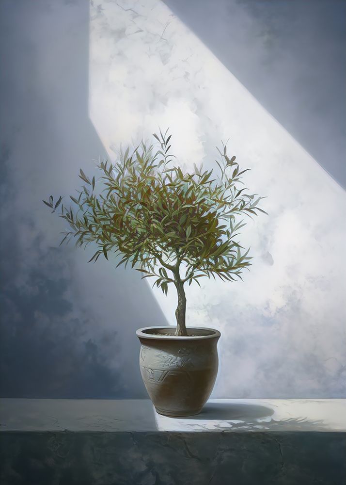 Mediterranean Olive Tree No 2