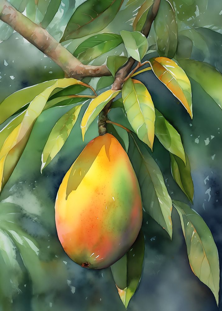 Mango Tree
