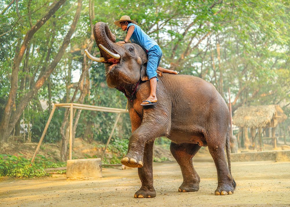 Thailand - 259