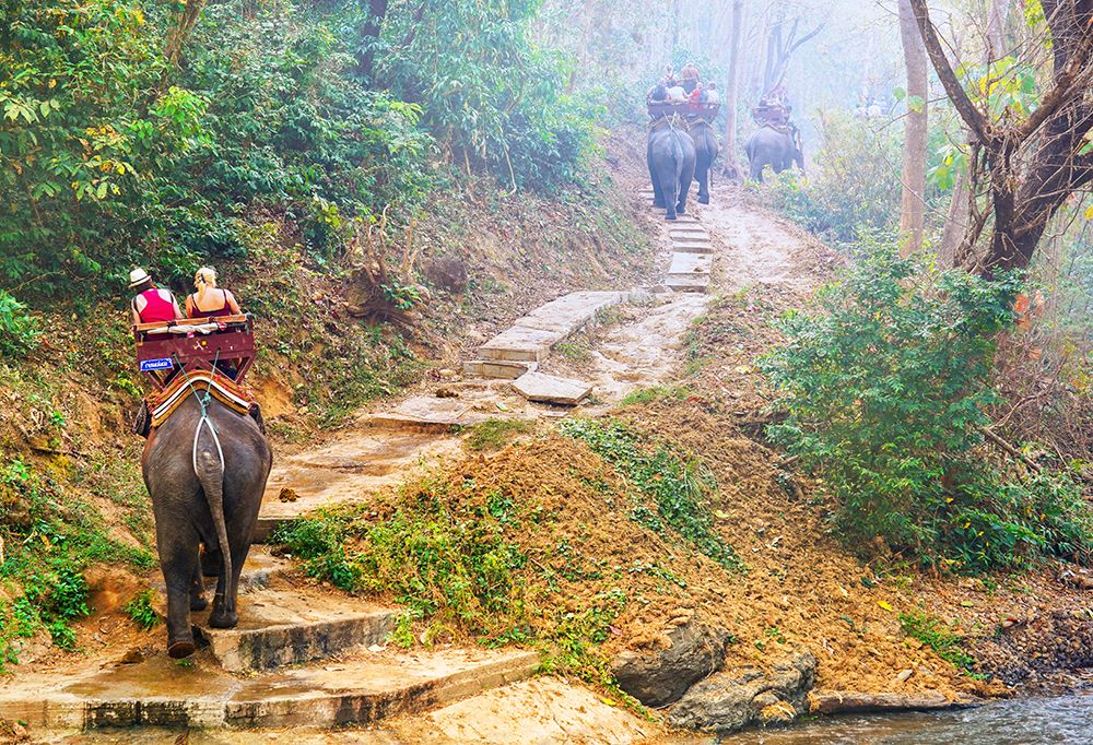 Thailand - 308