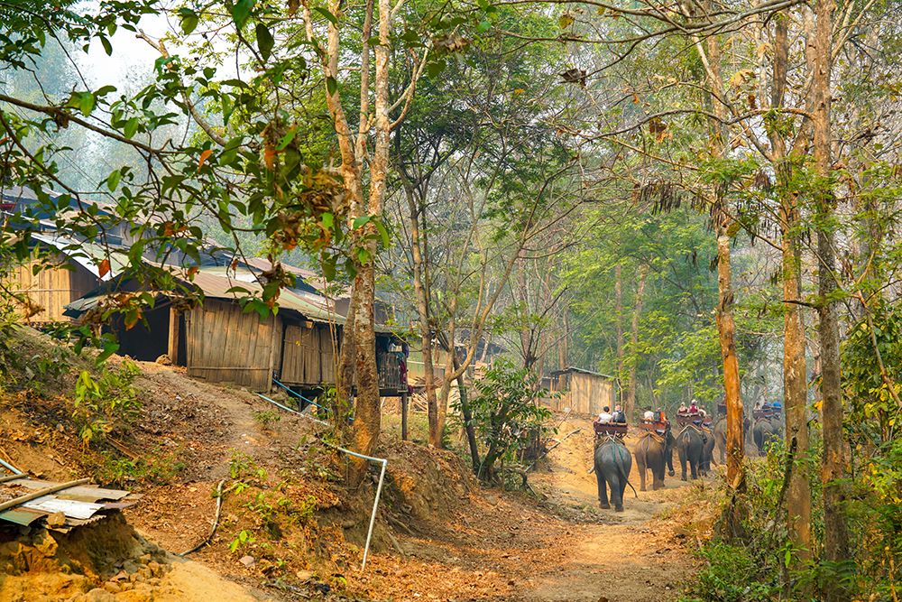 Thailand - 317