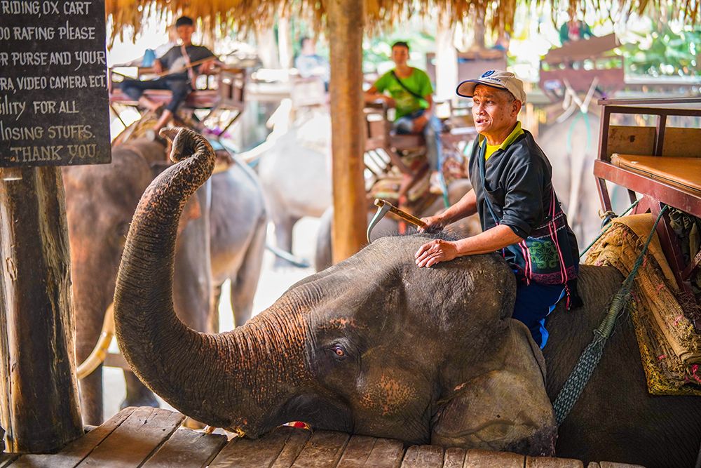 Thailand - 347