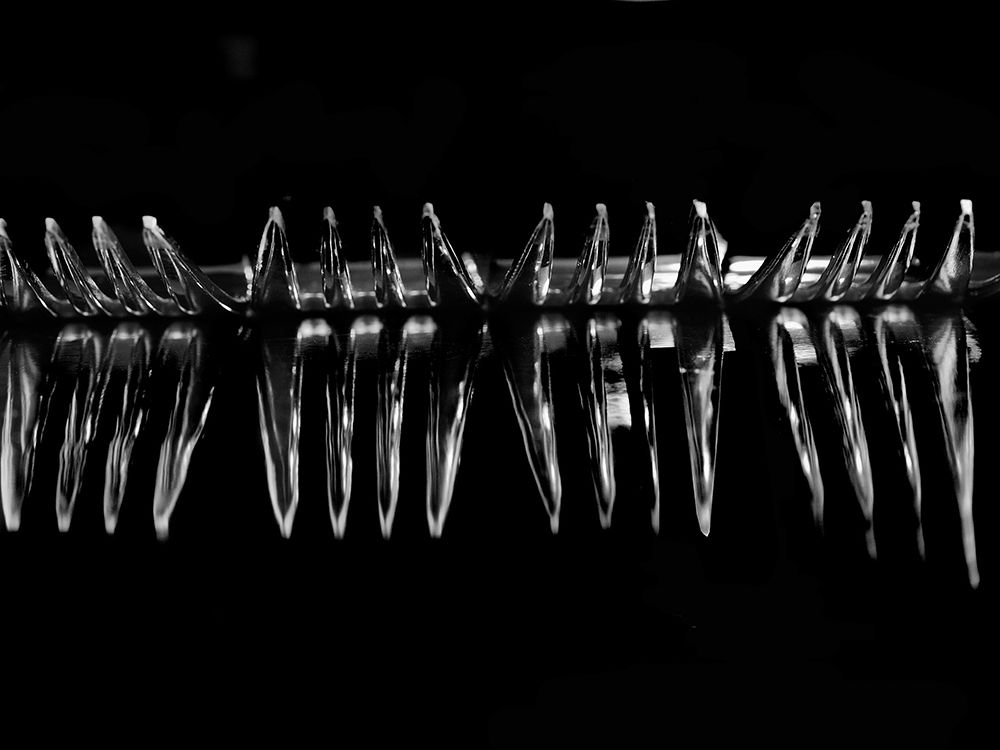 Forks 15