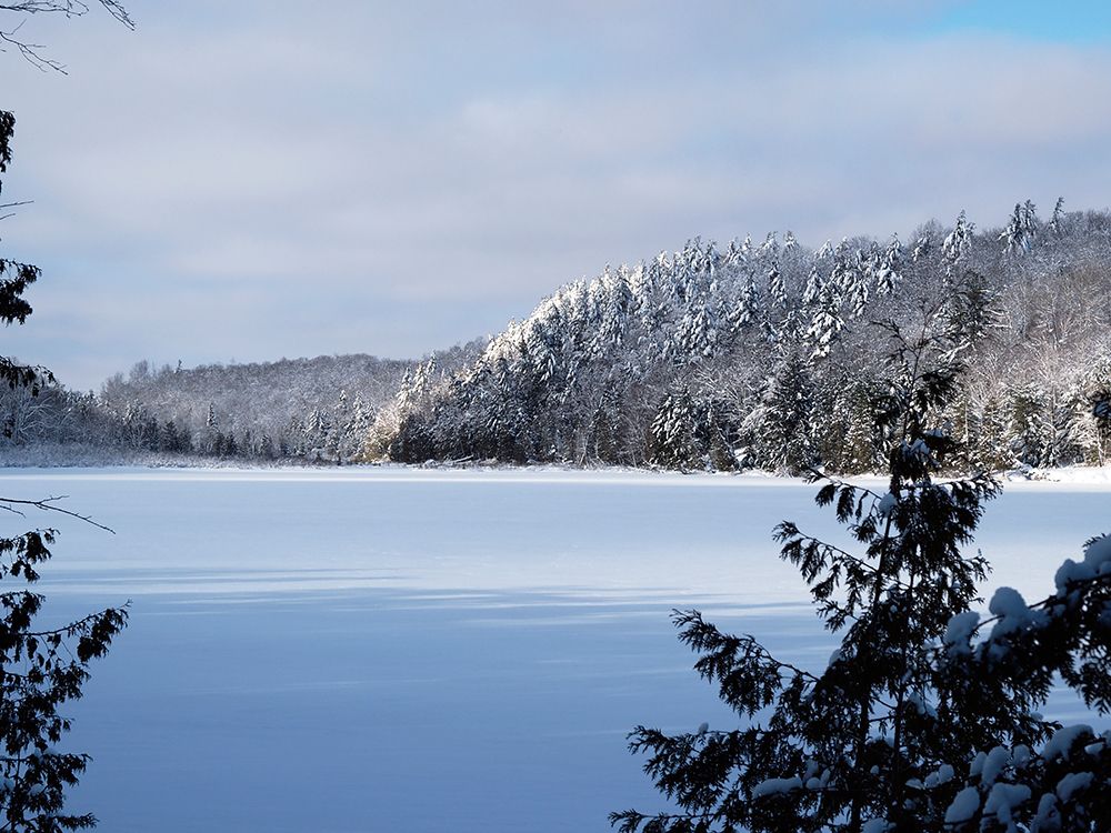 Meech Lake In Winter