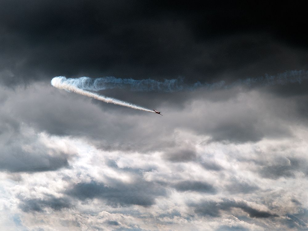 Mustang in Flight