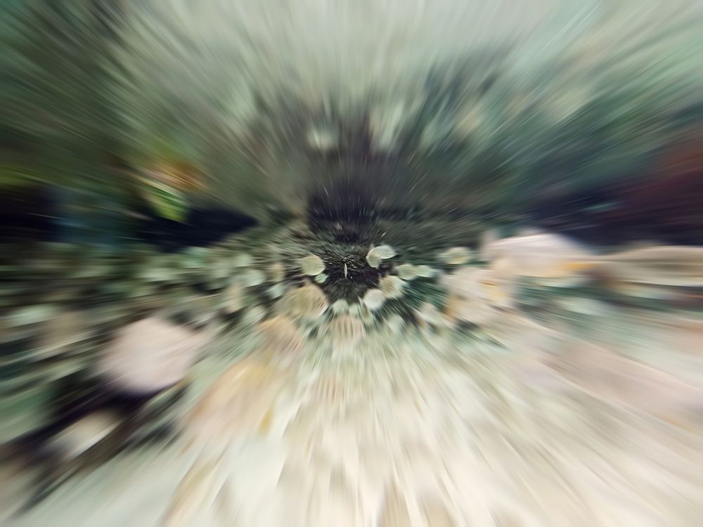 Fish Zoomed In
