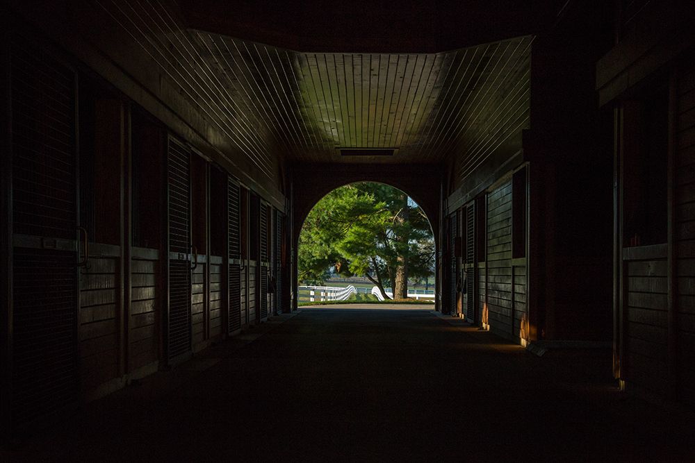 Horse Farm Barn (Inside And Out)