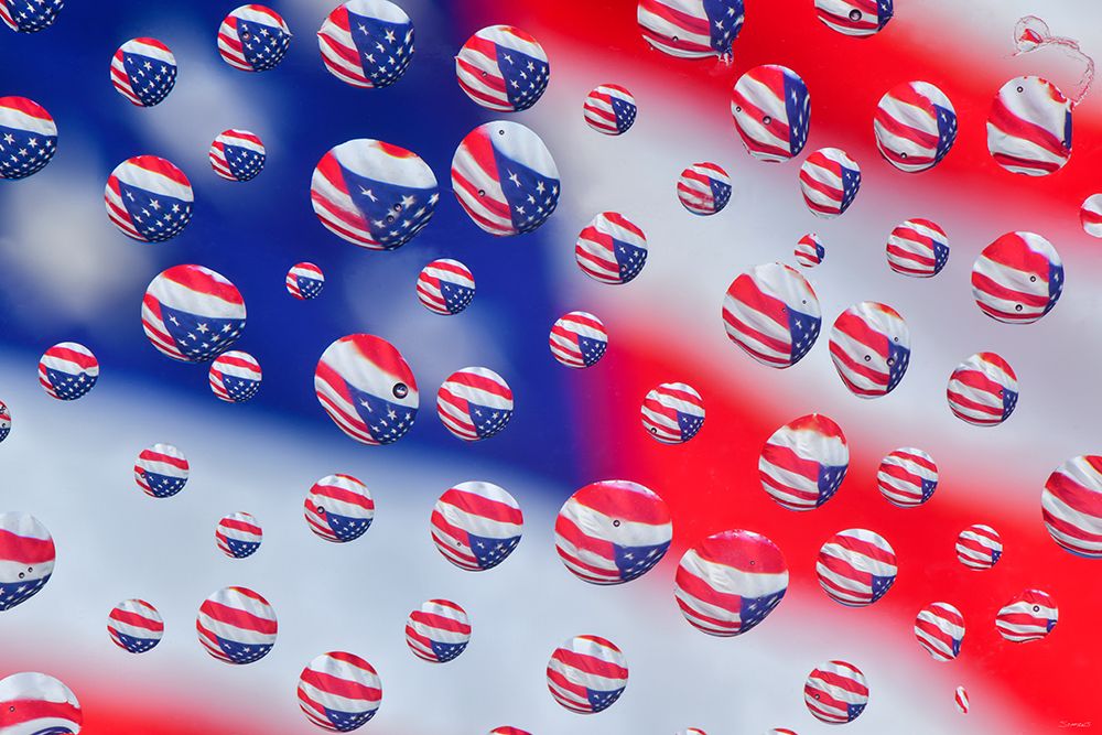 American Buds 09