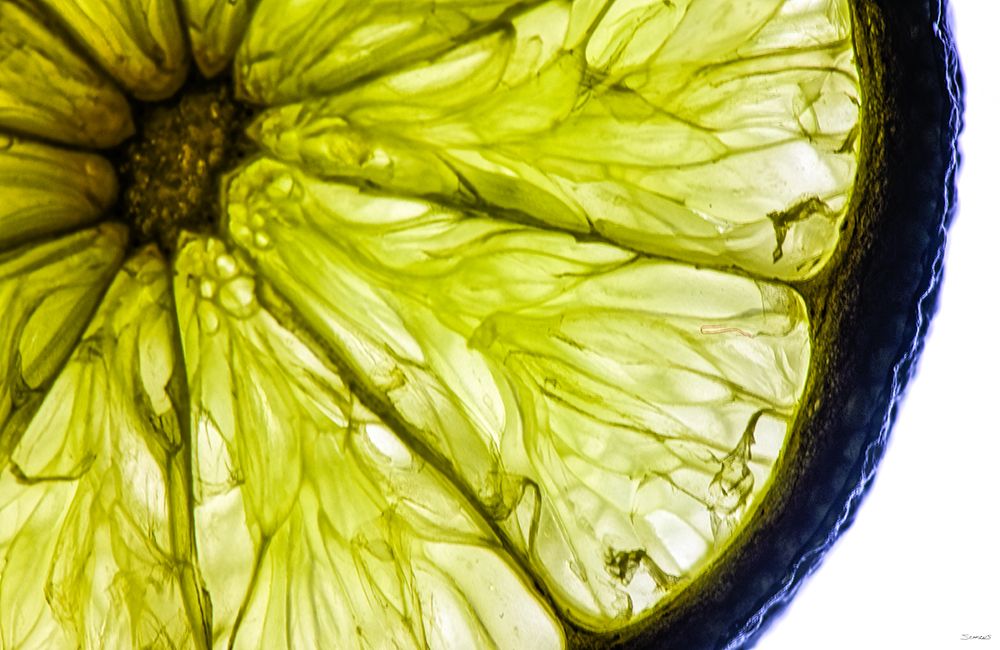 Fruit Macros_04