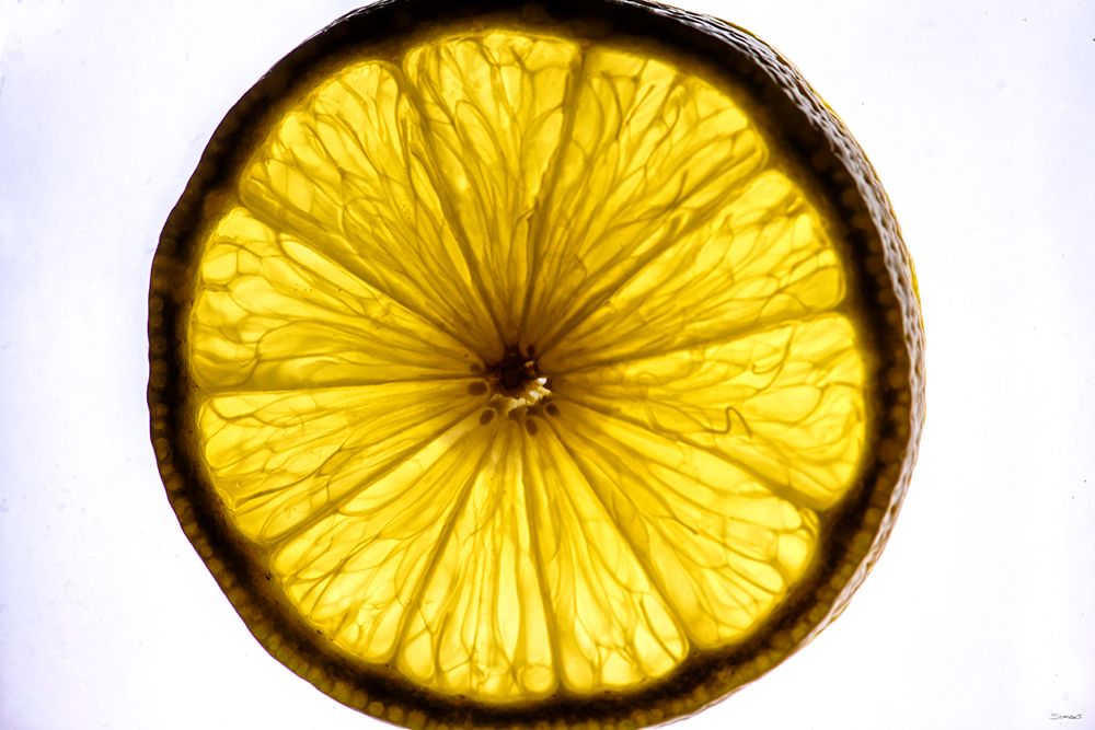 Fruit Macros_06