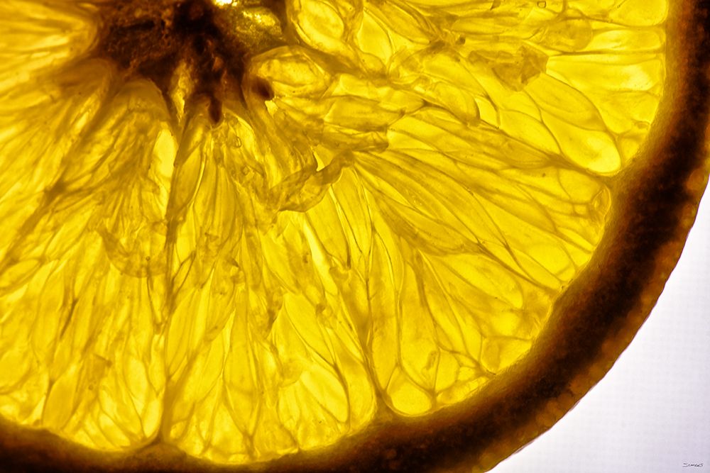 Fruit Macros_08