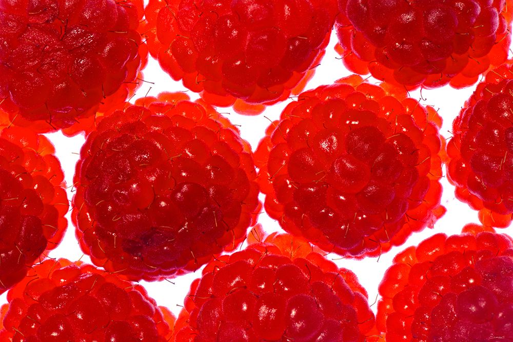 Fruit Macros_12