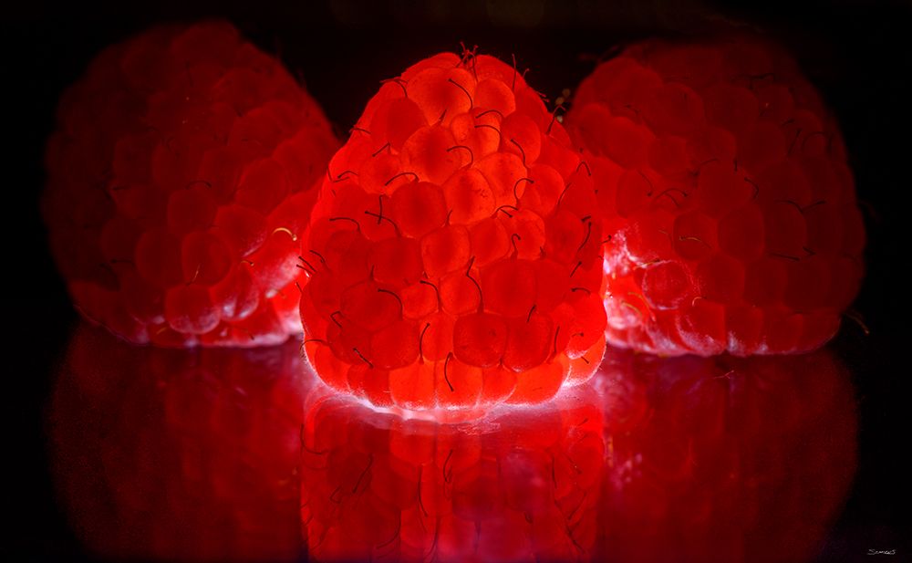 Fruit Macros_15