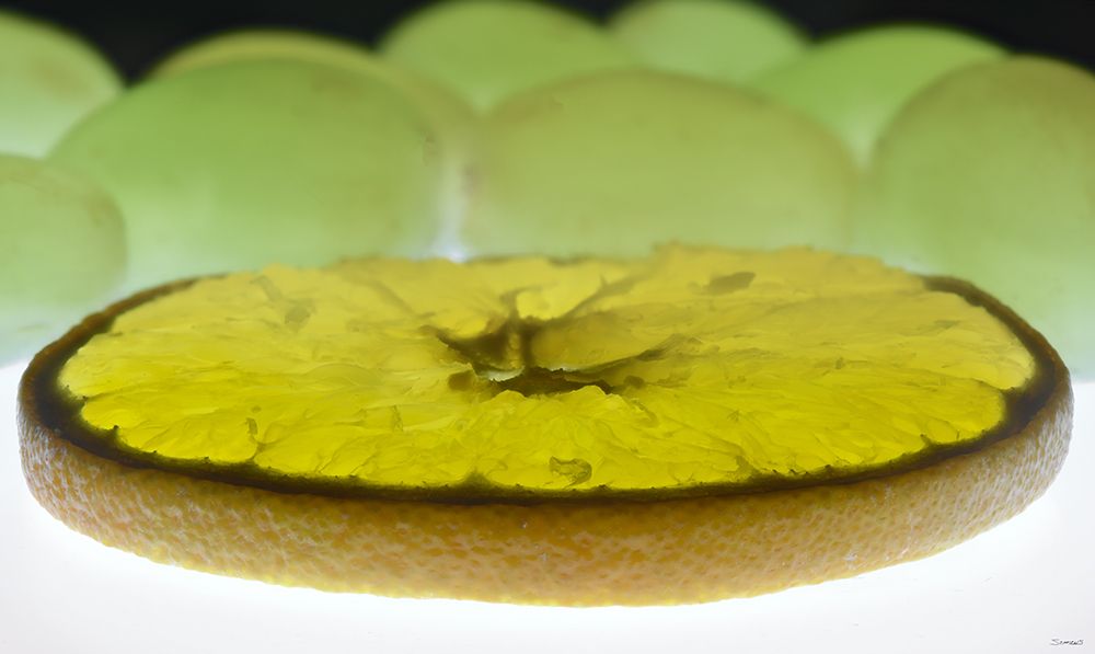 Fruit Macros_17