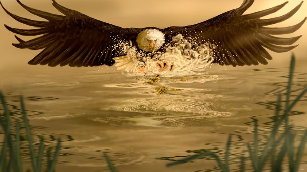 Fishin Hole