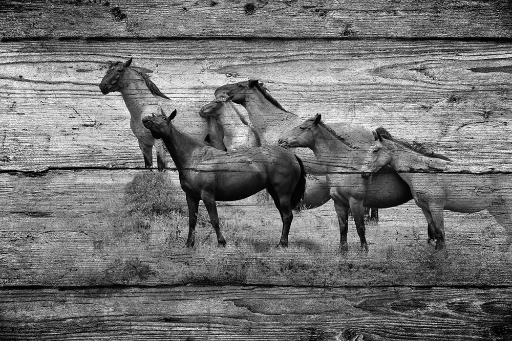 Woodgrain Antiques 06