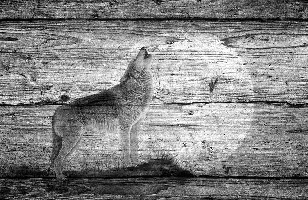 Woodgrain Antiques 08
