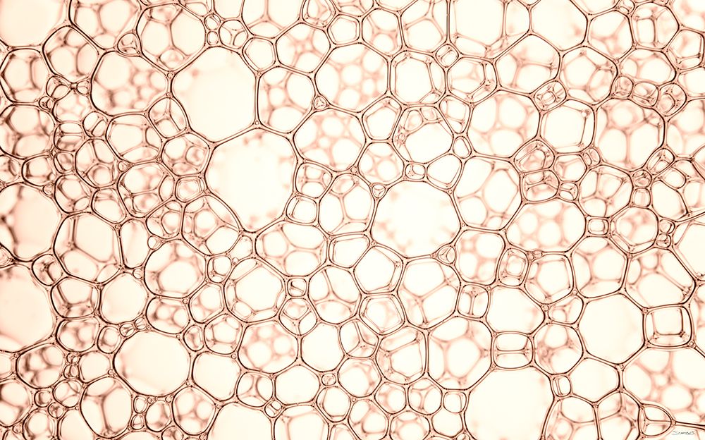 Soap Suds 10