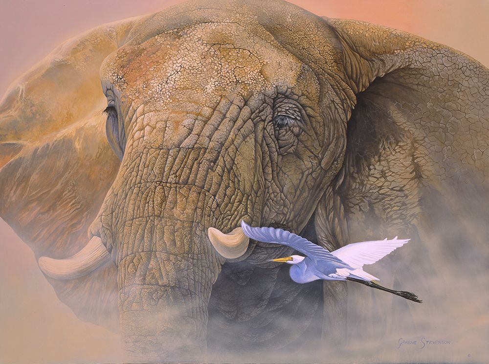 Young Matriarch
