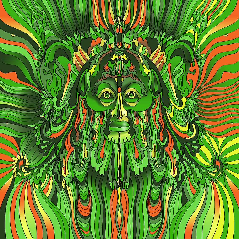 Pop Art Leaf Face