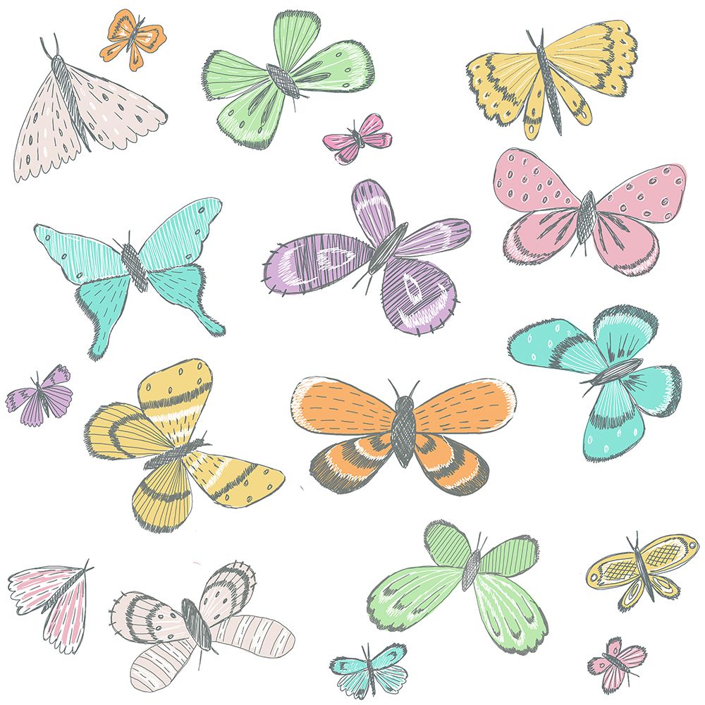 Sketch Book Butterfly