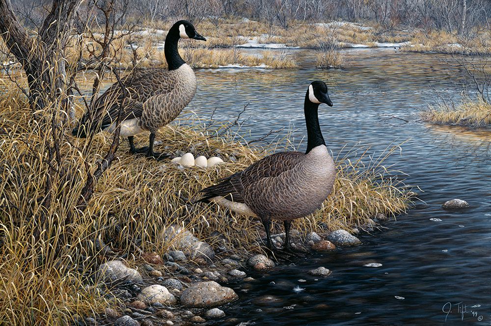 Canadian Pair